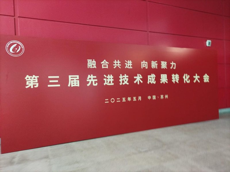 数字化转型咨询在企业未来发展的关键作用